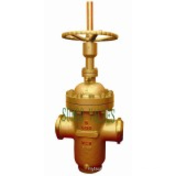 Flat Plate Class300 Gate Valve